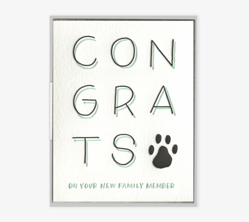 "congrats On Your New Family Member" Greeting Card - Greeting Card, transparent png download