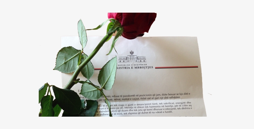 March 8th, Minister Kodheli Writes A Congratulatory - Floribunda, transparent png download