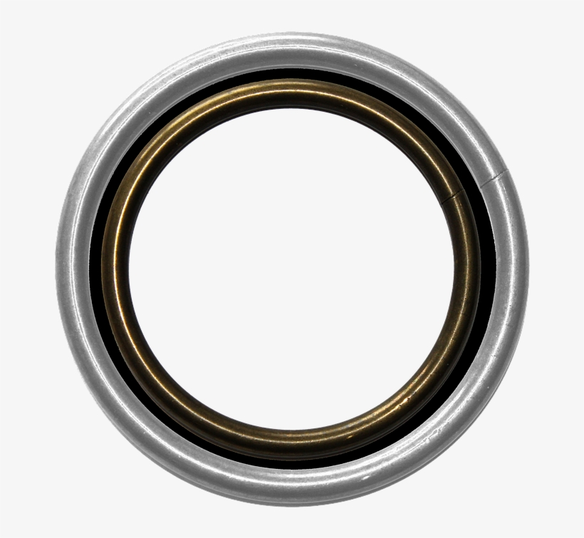 Shape, Frame, Picture, Ring, Circle, Round, Pair - Circle, transparent png download