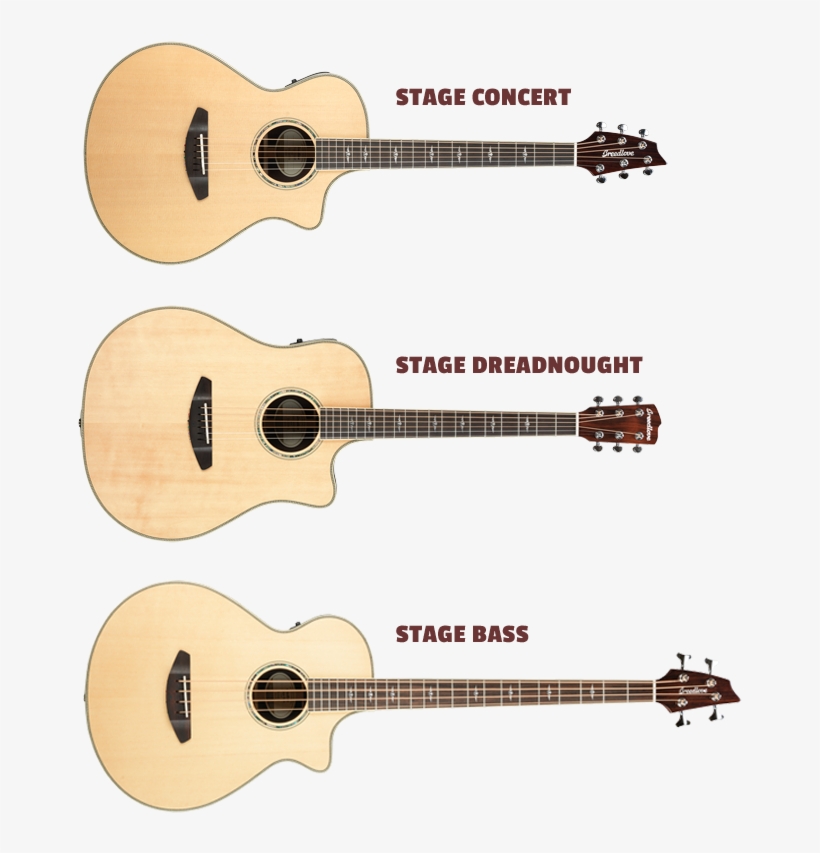 The Stage Series Is Available In A Concert, Dreadnought, - Breedlove Stage Concert 2015 Stage Concert Cutaway, transparent png download