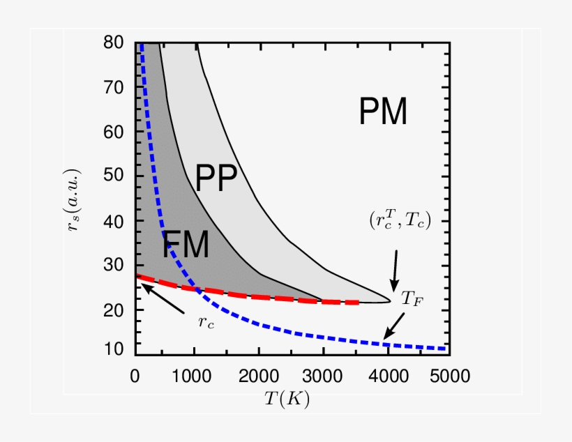 Collinear Phase Diagram Of The Heg For The Bow- Tie - Digestive System, transparent png download