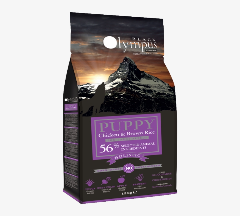 Chicken & Brown Rice - Unchanging And Unshakable [book], transparent png download