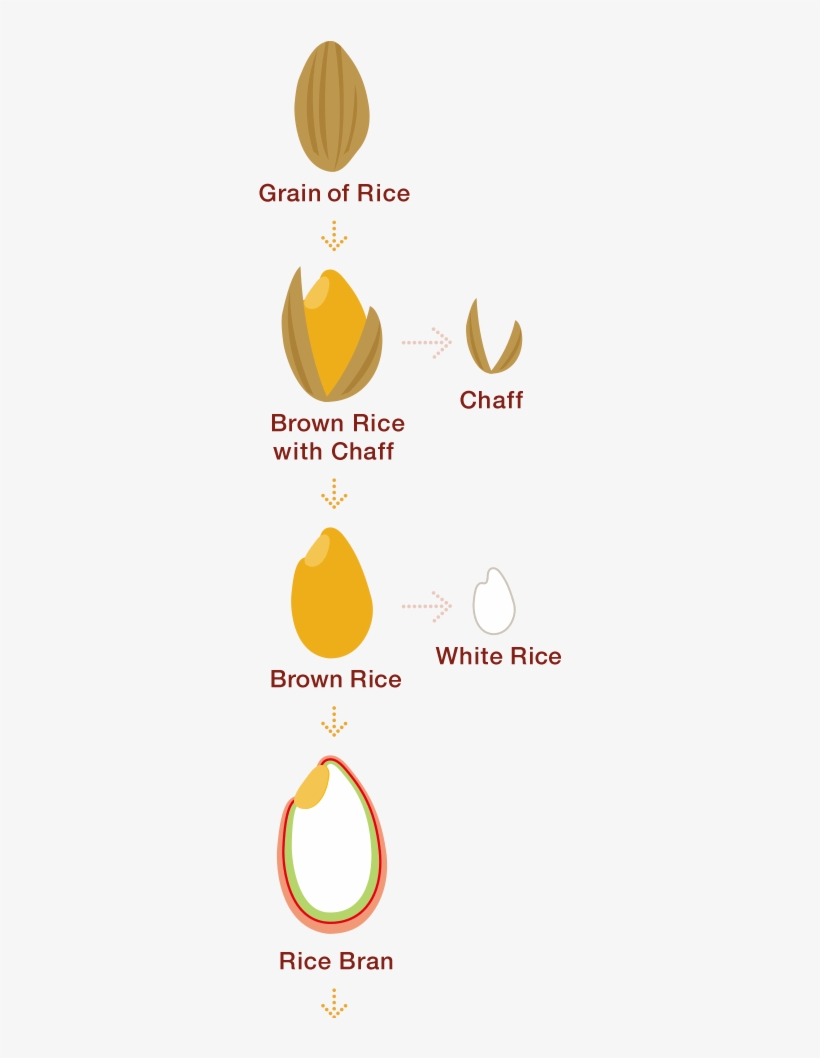 Rice Bran, A Superfood Packed With 80% Of The Nutrients - Brown Rice, transparent png download
