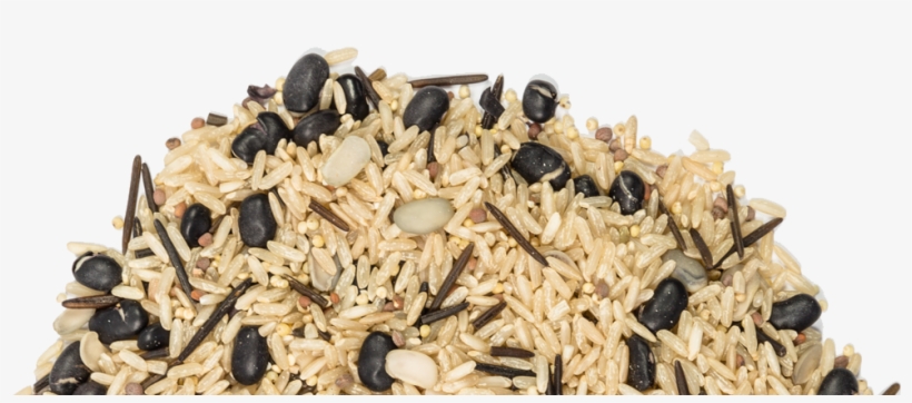 Floating Leaf Sprouted Black Beans & Organic Brown - Sprouting, transparent png download