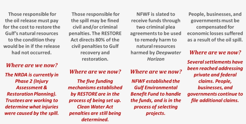 Circle, transparent png download