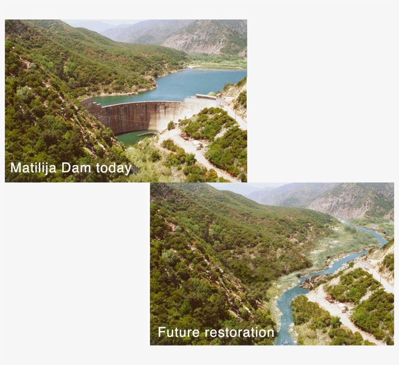 Businesses, And Individuals Committed To The Environmental - Matilija Dam, transparent png download