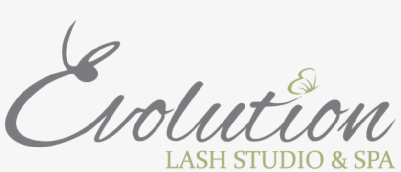 Final Evolution Logo Ol Web, transparent png download