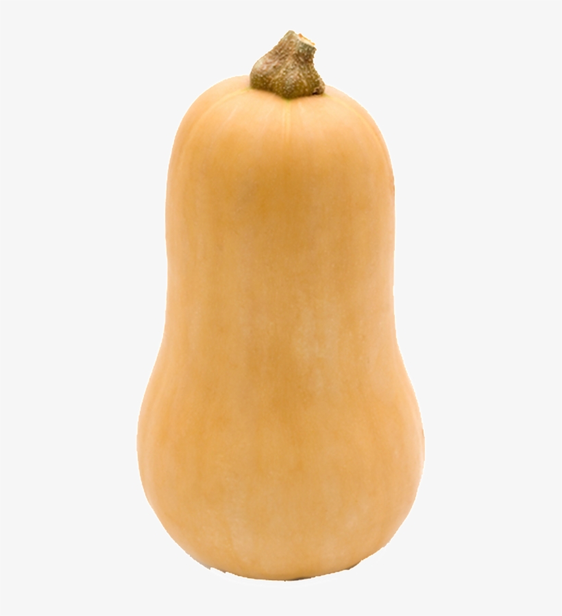 Pumpkin Transparent Vegetables - Photograph, transparent png download