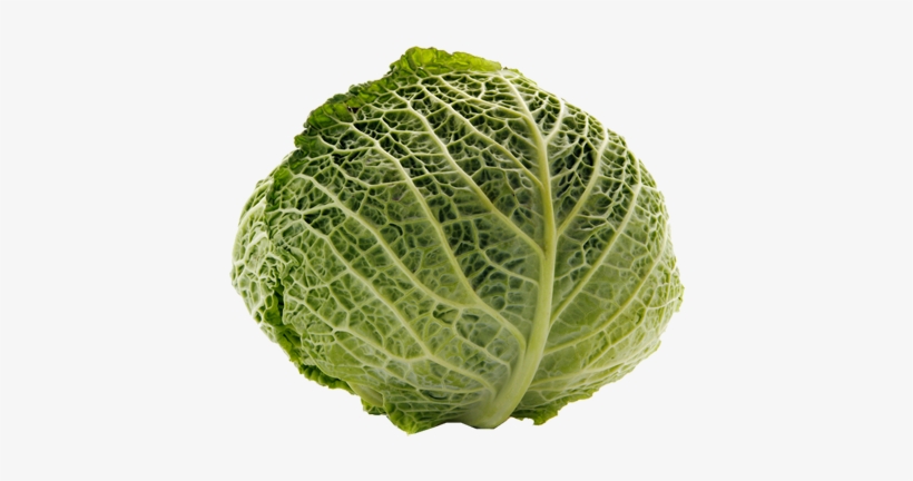 Cabbage Transparent Png - Cabbage, transparent png download