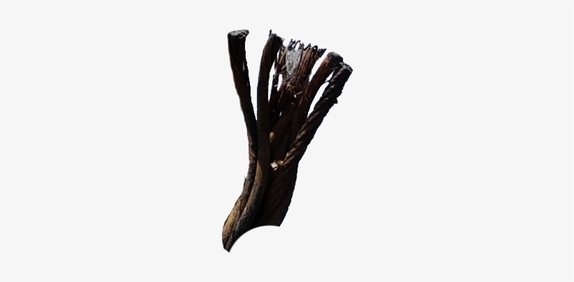 Alternative Solutions - Eagle, transparent png download