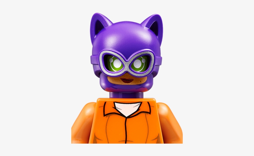 Meet Arkham Asylum Catwoman - Catwoman Lego Batman Movie, transparent png download
