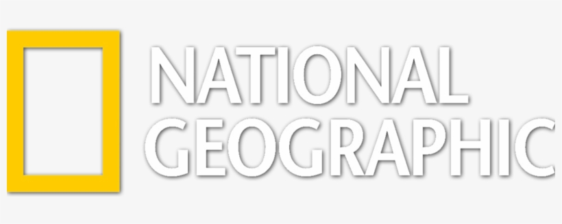 International Clients, transparent png download