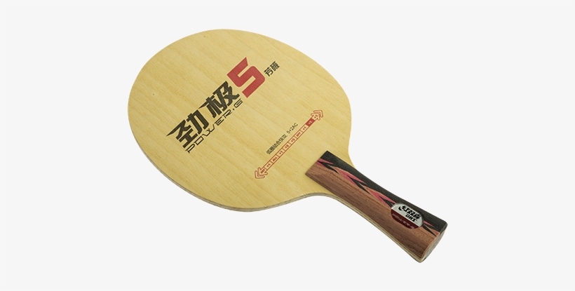 Dhs Paddle - Dhs Power.g9 (pg9, Pg 9) 7-ply Off++ Table Tennis Blade, transparent png download