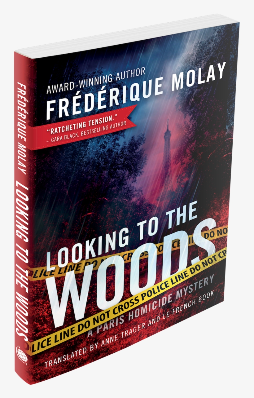 Lookingtothewoods-3d Copy, transparent png download