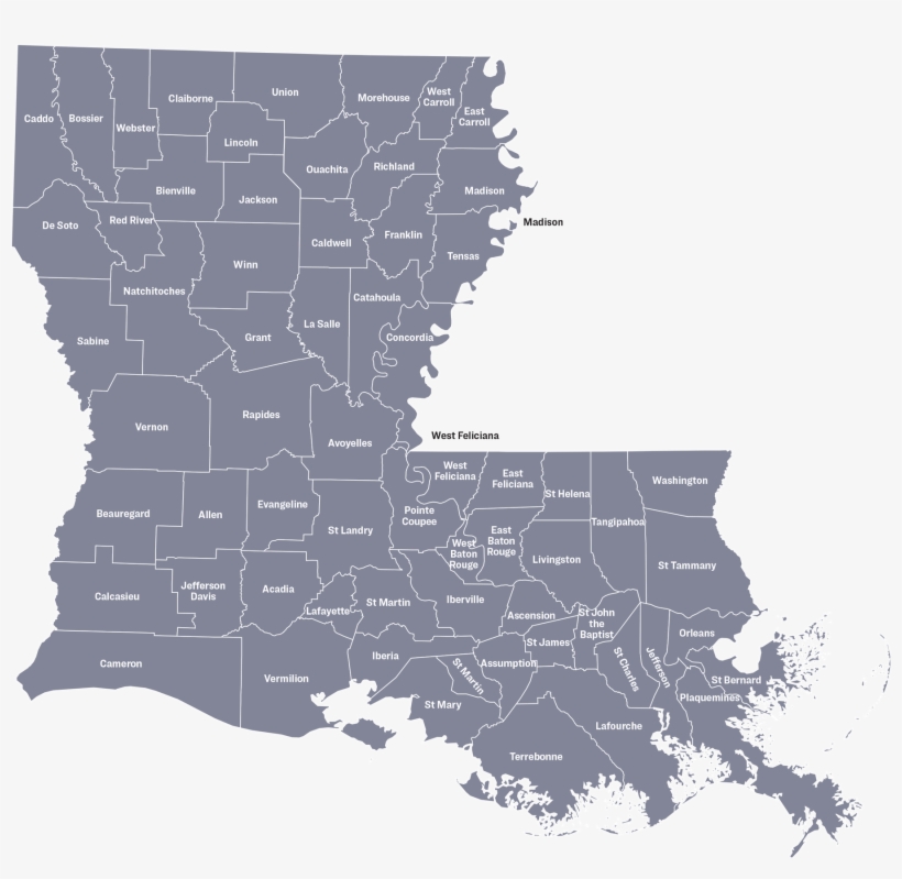 Police Officers' Disproportionate Focus On People Of - Louisiana Vector, transparent png download