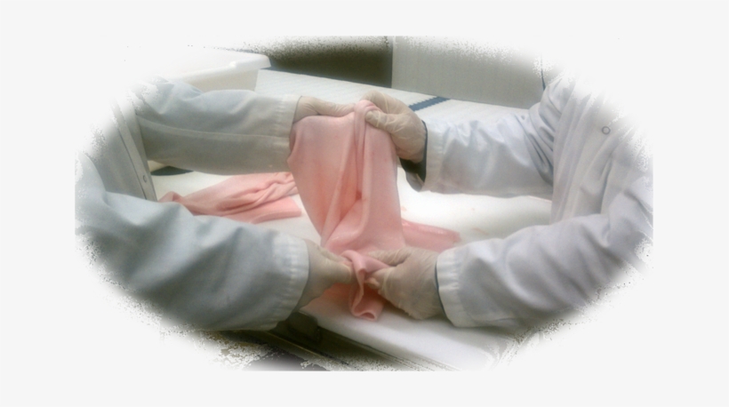 The Tissue Source Portfolio Of Products Includes Tissues - Product, transparent png download