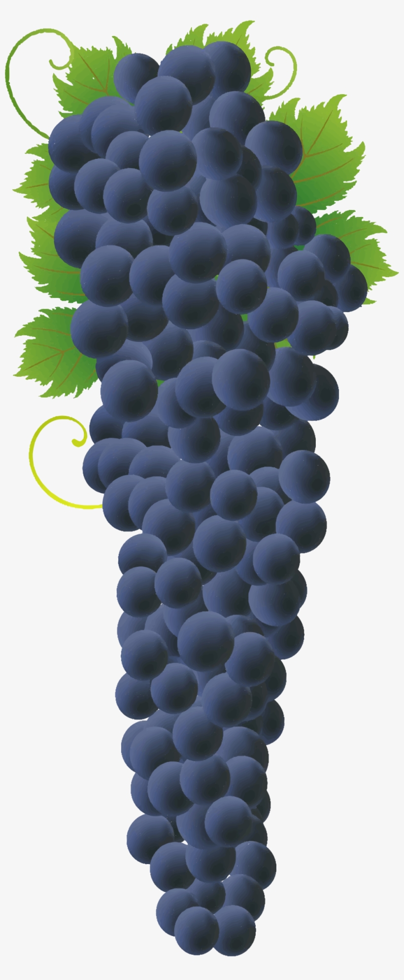 Big Image - Grape Bunch Png, transparent png download