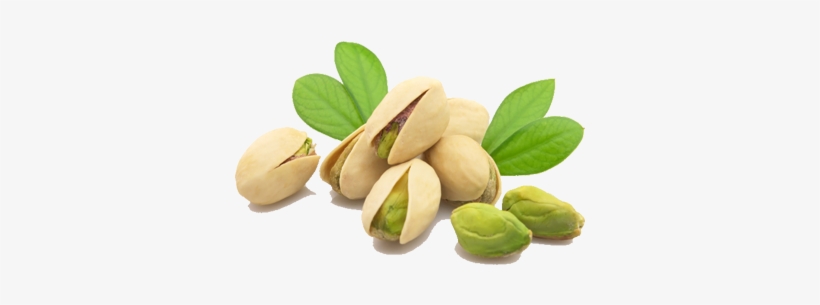 Pistachionut, transparent png download
