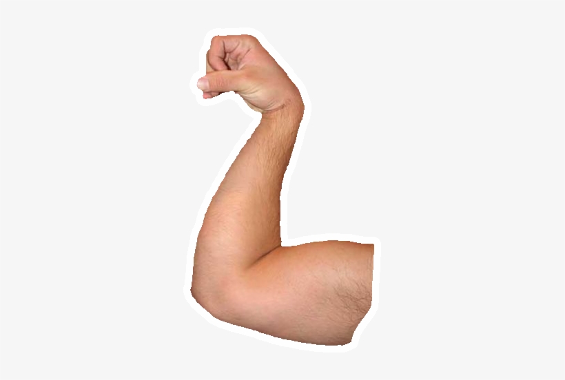Chin Up - Biceps, transparent png download