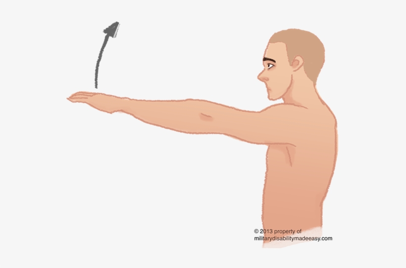 Parent Directory - Arm Straight Forward, transparent png download