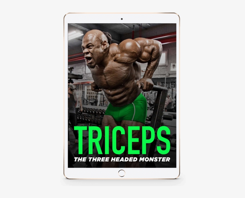 Monster Arms E-book Combo - Ultimate (+ E-book), transparent png download