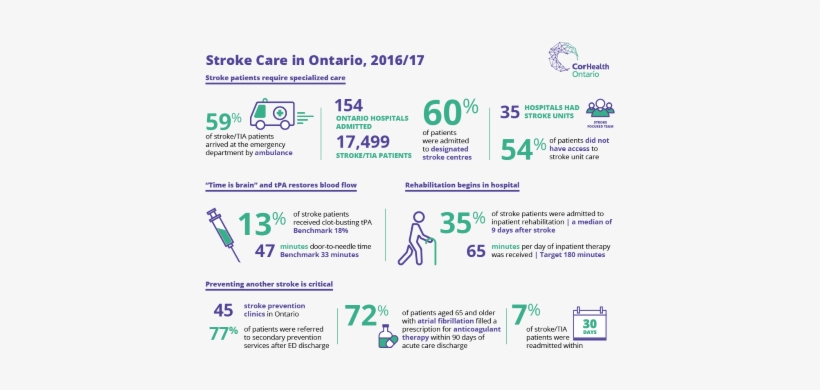 A Thumbnail Image Of The 2016/17 Stroke Care In Ontario - Infographic, transparent png download