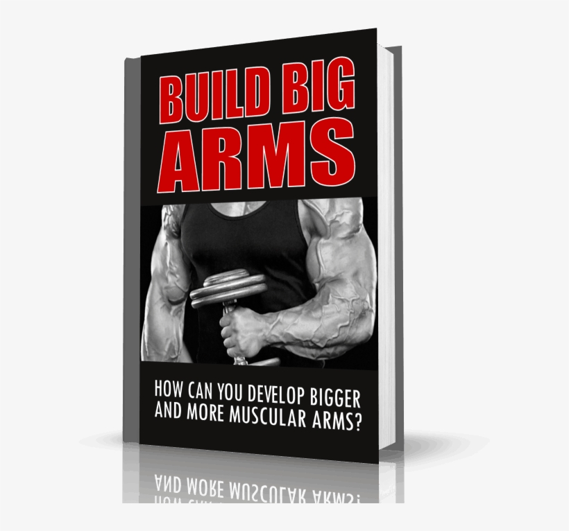 If You Are Damn Serious To Learn How To Build Big Muscle - Tata-binding Protein, transparent png download