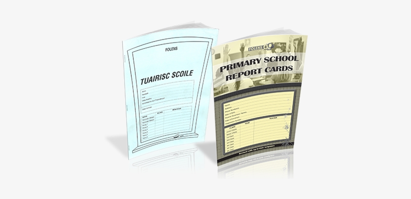 Primary School, transparent png download