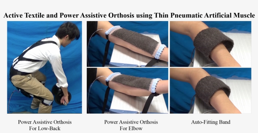 Share This Project - Artificial Muscle, transparent png download