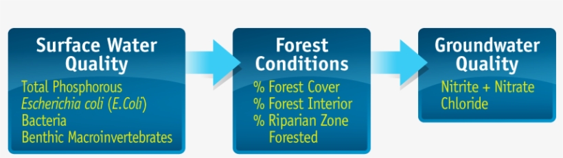 Conservation Ontario Guidelines And Standards Developed - World Class Quality: Using Design Of Experiments, transparent png download