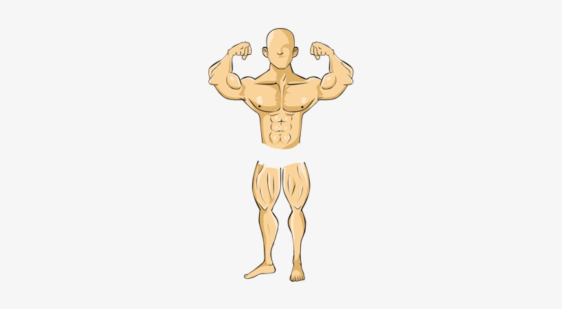 5 In Goal - Bodybuilding, transparent png download