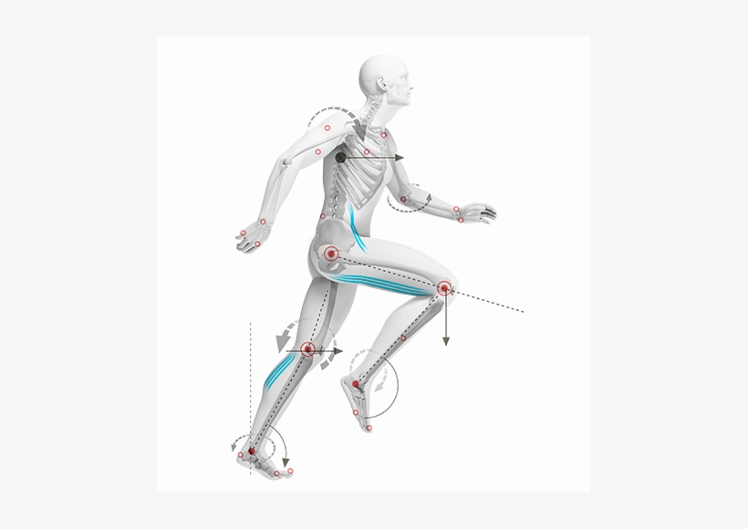 But The Good News Is, Efficiency Of Movement Is Driven - Illustration, transparent png download