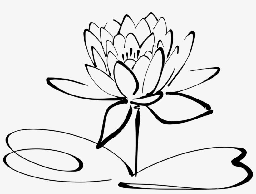 Flaming Basketball Png - Lotus Flowers Clipart Black And White, transparent png download