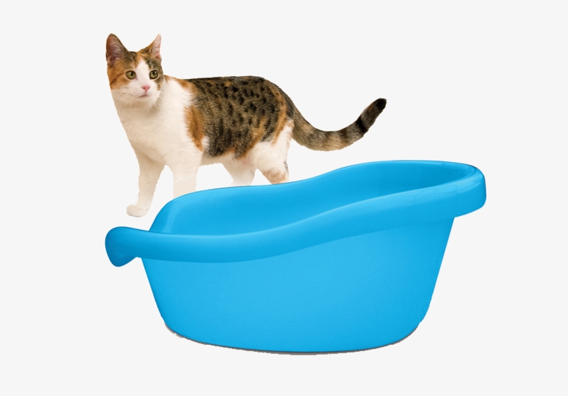 Cat With Litter - Smartcat The Ultimate Litter Box, Blue, transparent png download