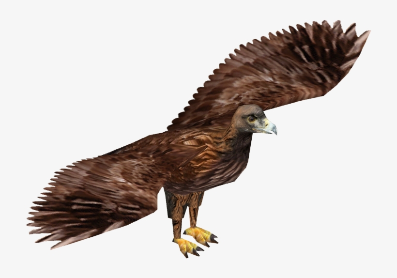 Golden Eagle - Wiki, transparent png download