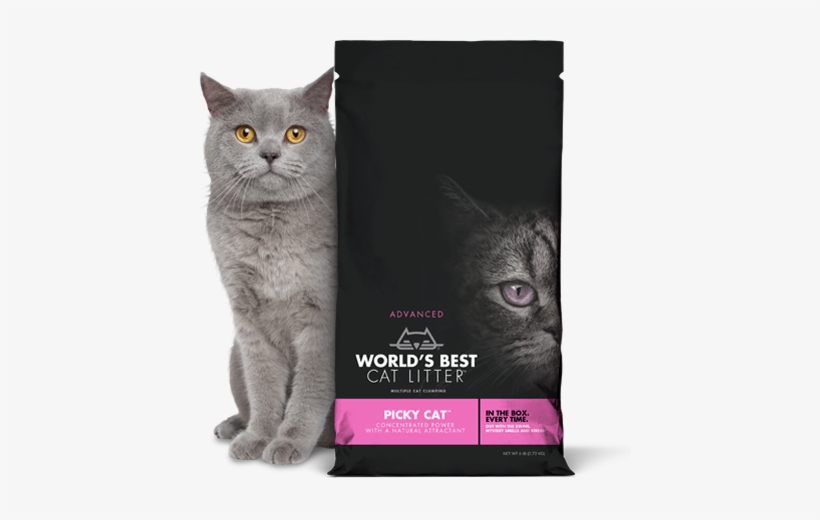 World's Best Cat Litter Picky Cat Litter - World's Best Cat Litter Picky Cat, transparent png download
