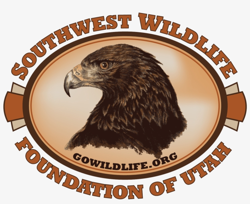 Download Hi-res - Golden Eagle, transparent png download
