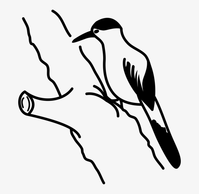 Pica Pau Ave Png, transparent png download