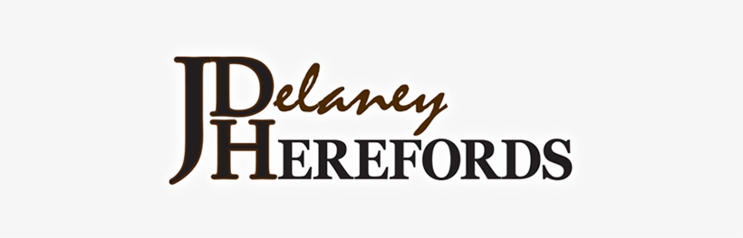 Ah Yankee 10s, transparent png download