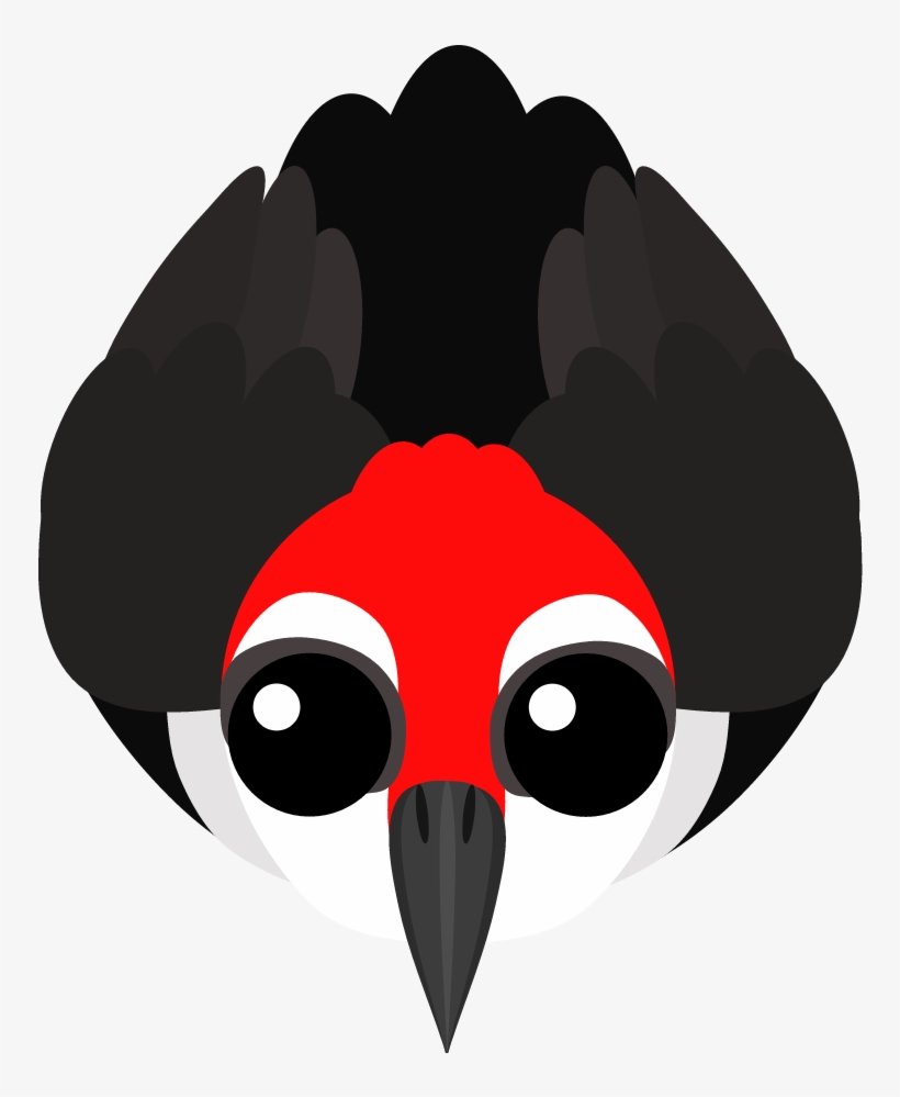 Its Ability Starts Out The Same As Toucan Ability - Illustration, transparent png download