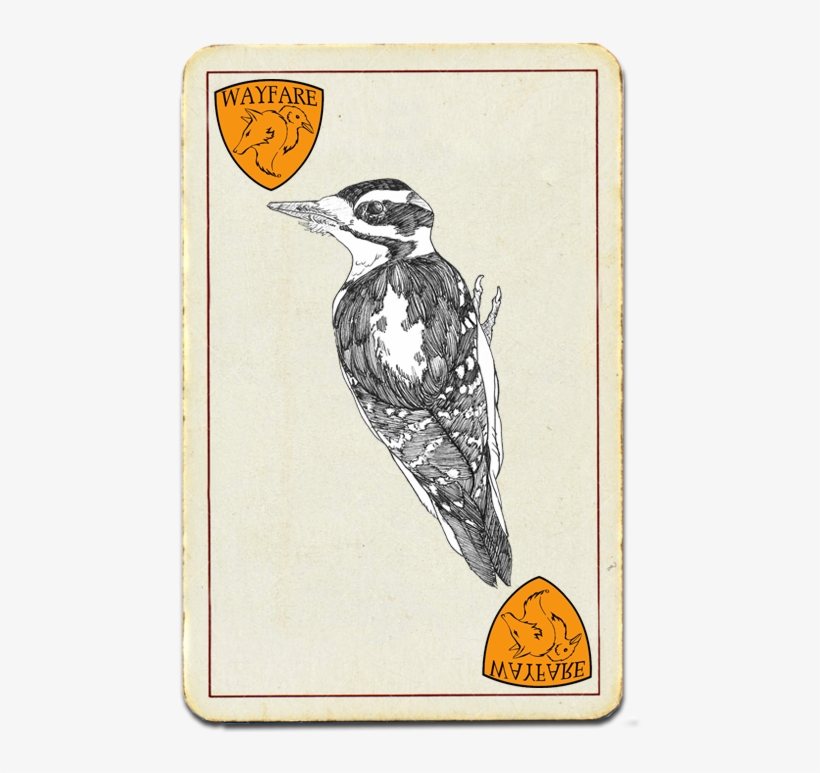 Wayfare's Most Wanted - Pest, transparent png download