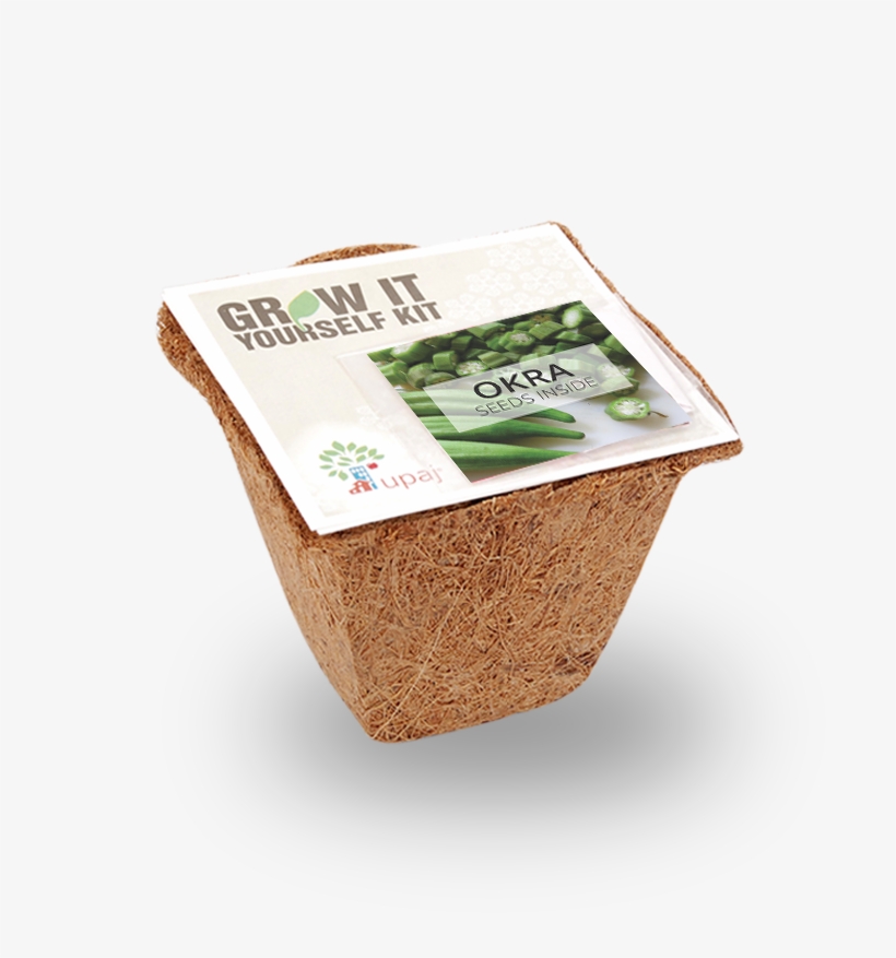 Okra Small Giy Kit - Grow It Yourself Kit Upaj Okra, transparent png download