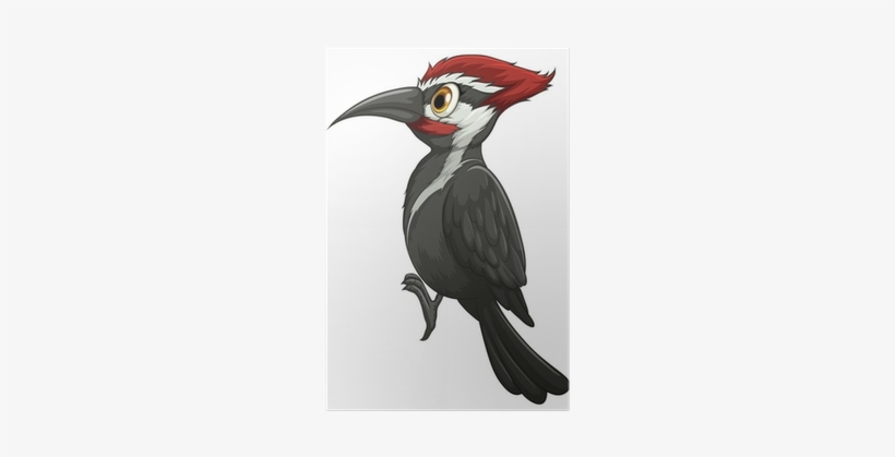 Woodpecker Clipart, transparent png download