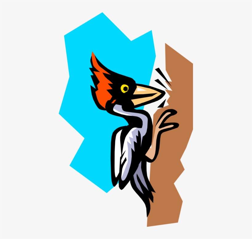 Vector Illustration Of North American Red-headed Pileated - Clip Art, transparent png download