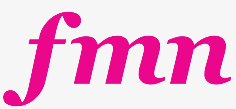 Fmn Channel - Efmc Training Course "financial Management Of Horizon, transparent png download