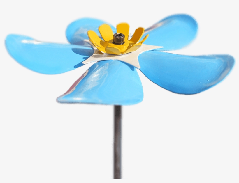 Scorpion Grasses, transparent png download