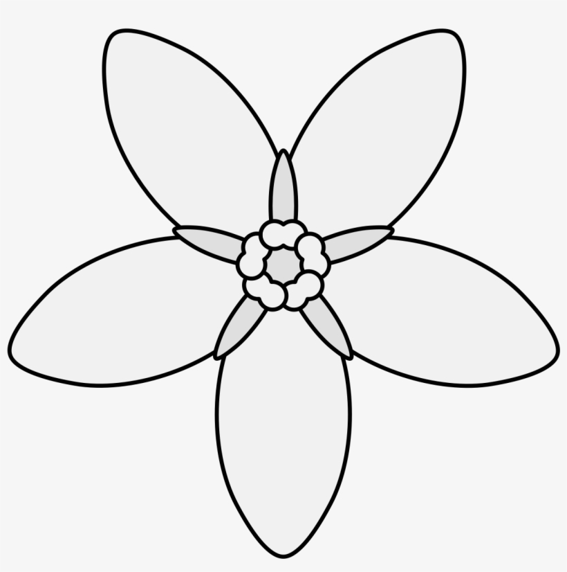 Details, Png - Illustration, transparent png download