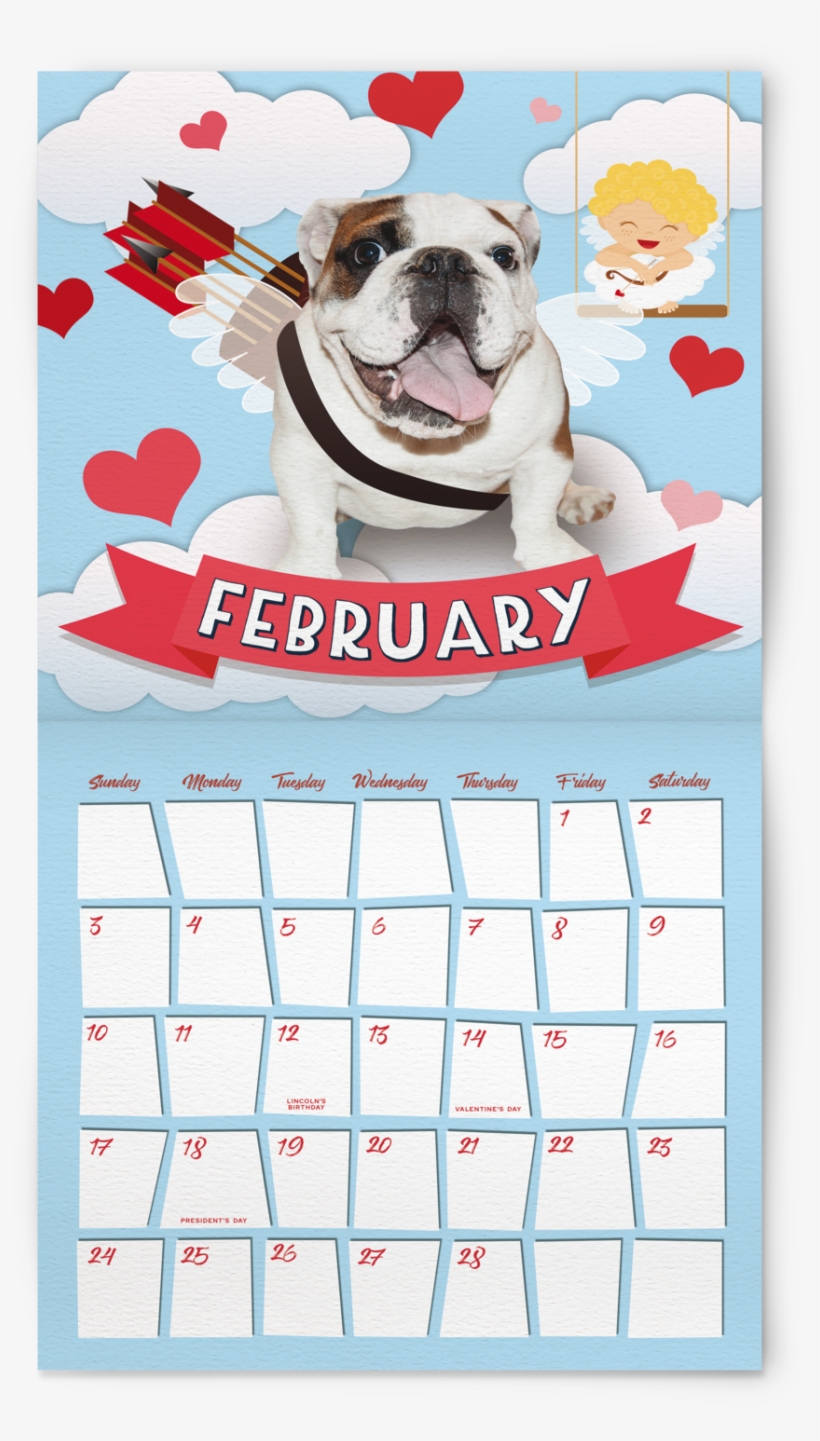 2019 English Bulldog Hanging Wall Calendar, transparent png download