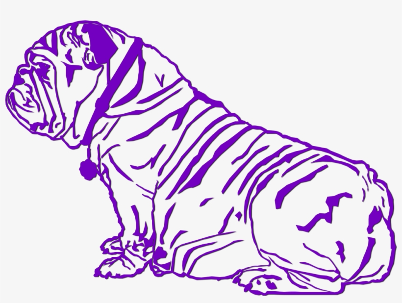 Daiquiri - Sold - Bengal Tiger, transparent png download