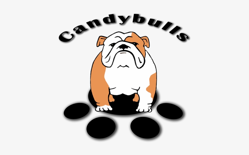 Bulldog, transparent png download